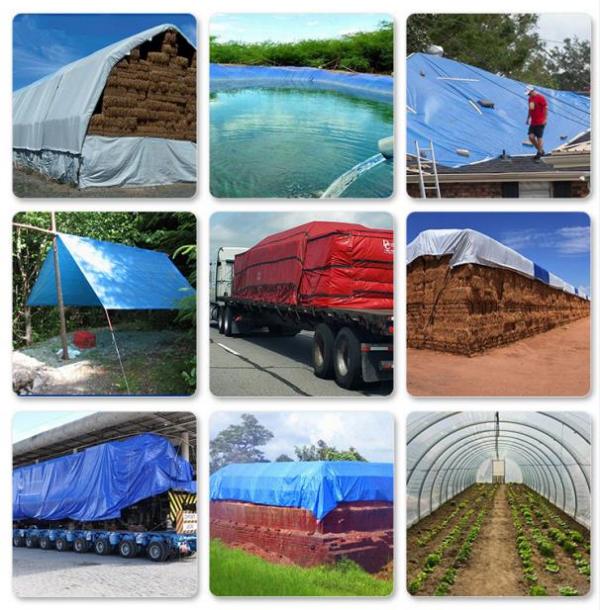 篷布：守護(hù)您的世界，從細(xì)節(jié)開(kāi)始