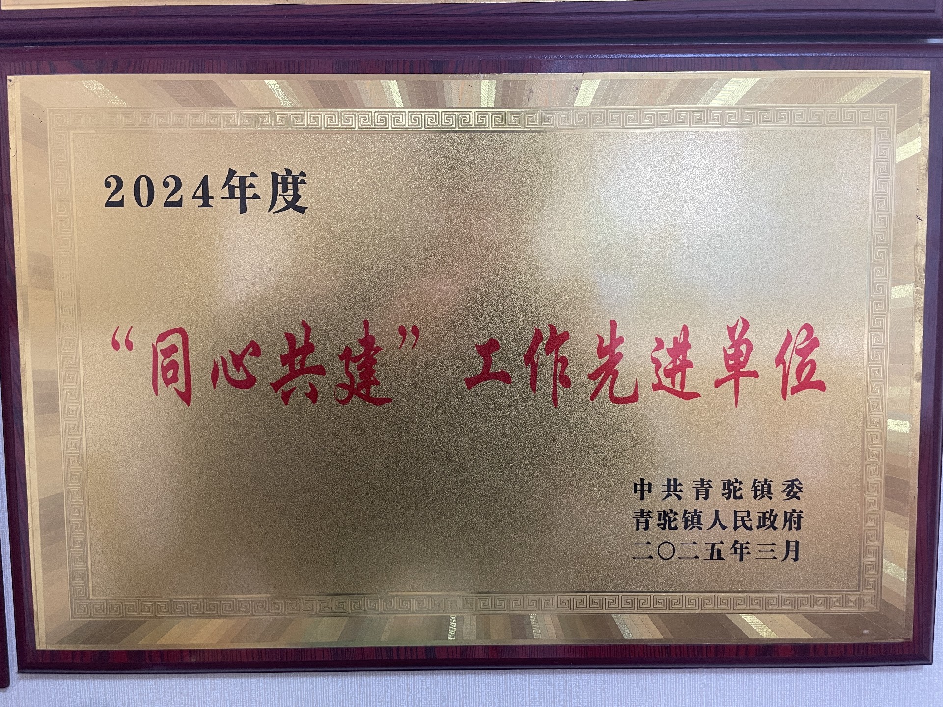 2024年同心共建工作先進(jìn)單位.jpg